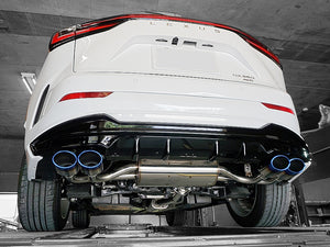 EXART ONE MUFFLER SPORTS SOUND CARBON OVAL TAIL (110MM X 70MM 4 PIECES) EXHAUST EXHAUST FOR LEXUS NX350 5BA-TAZA25 T24A EA02-LX113-C