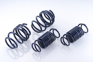 ENDLESS GENUINE SPORTS SPRINGS (GSS) FOR HONDA CIVIC TYPE R FL5 ZC509GSS
