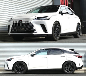 RS-R SUPER-I COILOVER SUSPENSION RECOMMENDED SPRING RATE FOR LEXUS RX350H AALH10 SIT234M