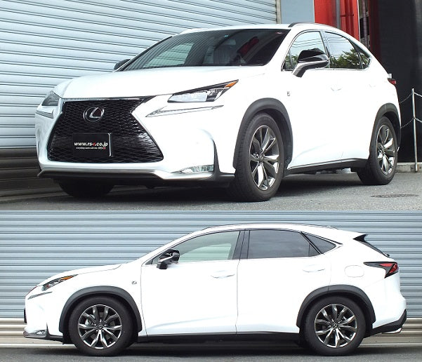 RS-R BEST-I COILOVER SUSPENSION RECOMMENDED SPRING RATE FOR LEXUS NX200T AGZ10 BIT534M