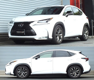 RS-R BEST-I COILOVER SUSPENSION RECOMMENDED SPRING RATE FOR LEXUS NX200T AGZ10 BIT534M