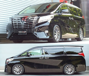 RS-R BASIC-I COILOVER SUSPENSION RECOMMENDED SPRING RATE FOR TOYOTA ALPHARD GGH30W BAIT940M