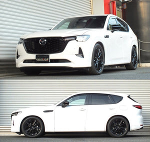 RS-R BASIC-I COILOVER SUSPENSION RECOMMENDED SPRING RATE FOR MAZDA CX-60 KH3R3P BAIM310M