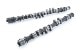 RSE CAMSHAFT SPEC-R EX 274-8.15 FOR TOYOTA 4AG 5VALVE RA301E-TY02B