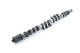 RSE CAMSHAFT SPEC-R EX 290-10.00 FOR TOYOTA 4AG 5VALVE RA301E-TY02C