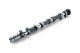 RSE CAMSHAFT SPEC-R EX 282-11.00 FOR HYUNDAI G4KF RA301E-HY01C