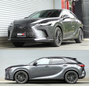 RS-R SUSPENSION DOWN REAR FOR LEXUS RX350 TALA15 VERSION L T232DR