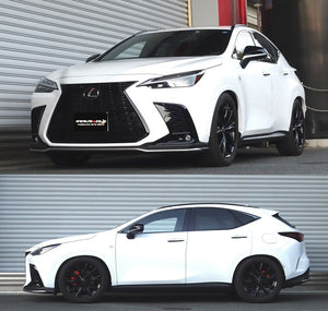 RS-R BEST-I ACTIVE COILOVER SUSPENSION RECOMMENDED SPRING RATE FOR LEXUS NX350 TAZA25 BIT539MA