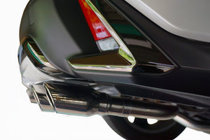 EXART ONE MUFFLER CARBON TAIL EXHAUST EXHAUST FOR LEXUS UX250H AWD 6AA-MZAH15 M20A-FXS EA02-LX120-C