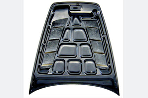 M&M HONDA ALUMINUM NET FOR TYPE T WITH CARBON BONNET DUCT FOR S2000 AP1 AP2 01100-AP1-TN