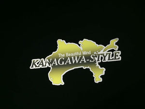 CAR MAKE T&E [NEW COLOR] KANAGAWA-STYLE STICKER CHROME WHITE BLACK YELLOW CHROME BLACK FOR  CARMAKETE-02856