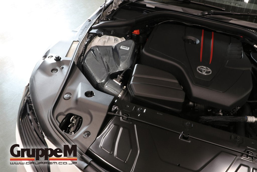 GRUPPEM RAM AIR SYSTEM  For BMW Z4 HF20 FRI-0348
