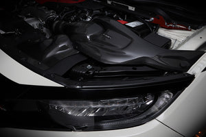 BLITZ CARBON INTAKE SYSTEM For HONDA CIVIC TYPE R FK8 27023