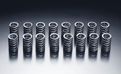 HKS VALVE SPRING  For NISSAN SR20DET 22001-AN002