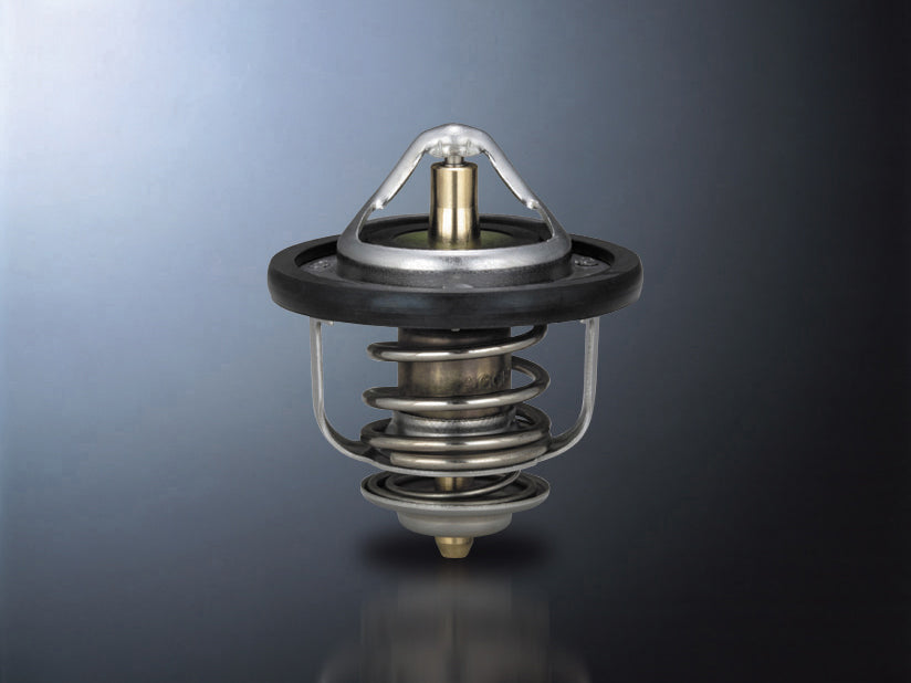 D-SPORT LOW TEMP THERMOSTAT For MIRROR L250S L260S 90048-C010