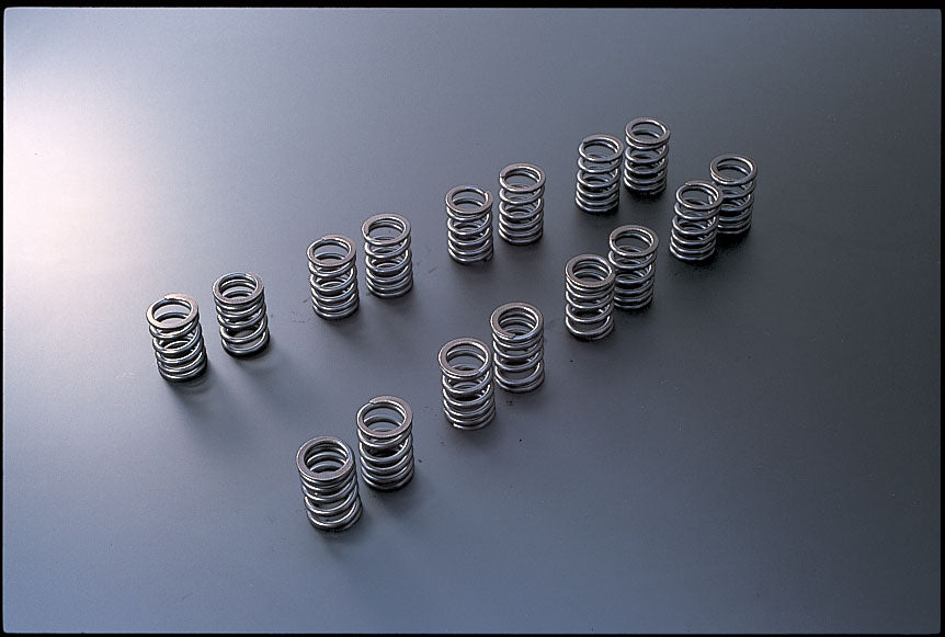 TOMEI VALVE SPRING TYPE-A  For NISSAN SR 173004 - Black Hawk Japan