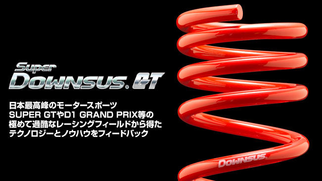 ESPELIR SUPER DOWNSUS GT SPRINGS FRONT FOR HONDA CIVIC TYPE R FK8 K20C ESH-4040F