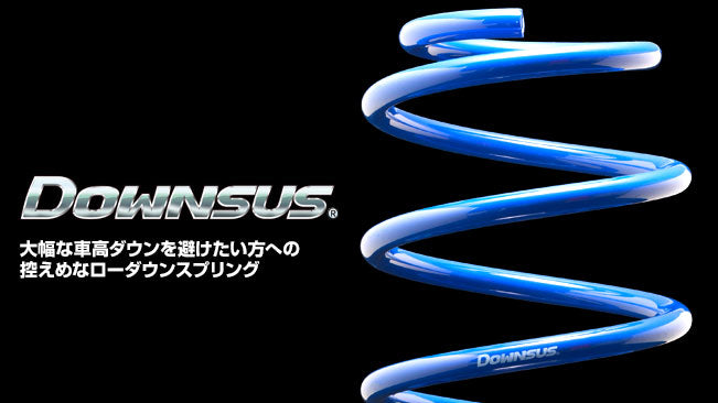 ESPELIR DOWNSUS SPRINGS REAR FOR SUBARU LEVORG VN5 CB18 ESF-7498R