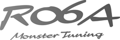 MONSTER SPORT R06A MONSTERTUNING STICKER [GUNMETAL] FOR  896176-0000M