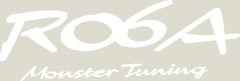 MONSTER SPORT R06A MONSTERTUNING STICKER [GUNMETAL] FOR  896176-0000M